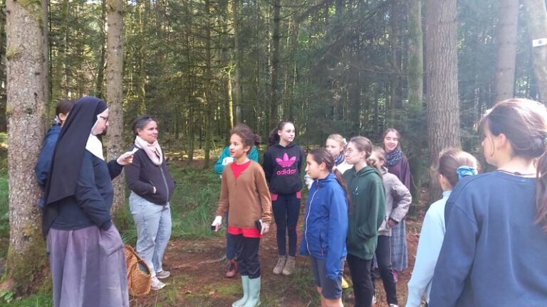 Lire la suite à propos de l’article Après-midi cohésion des 6e-5e 1er octobre